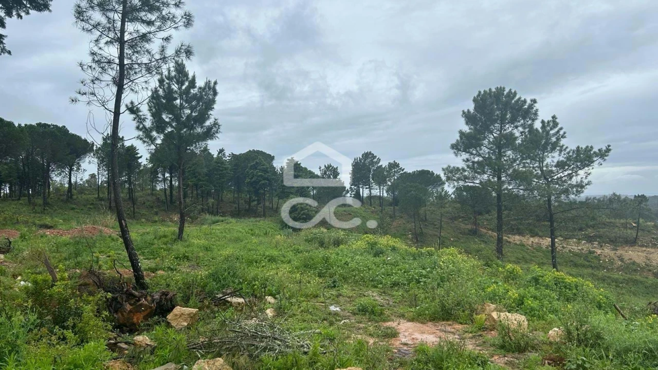 Terreno para Venda em Assafarge e Antanhol Foto 5