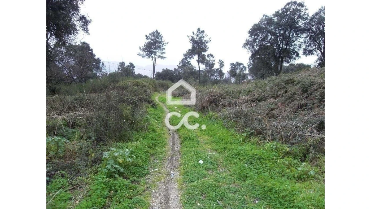 Terreno para Venda em Moreira de Conegos Foto 12