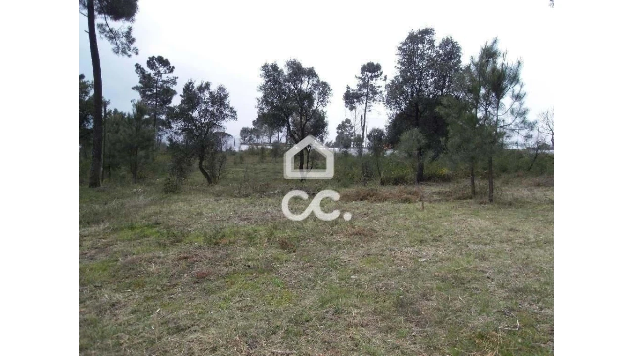 Terreno para Venda em Moreira de Conegos Foto 10