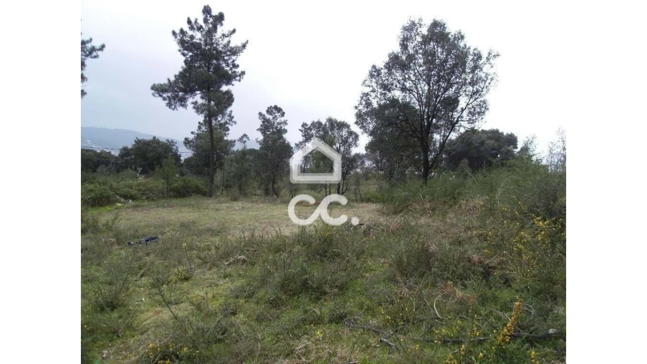 Terreno para Venda em Moreira de Conegos Foto 8