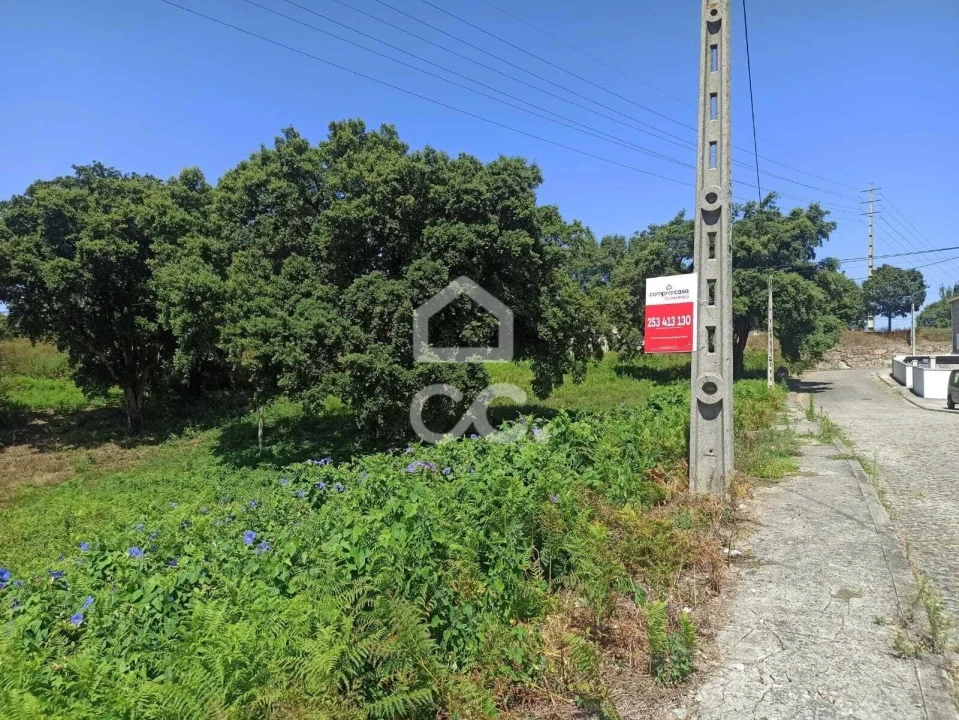 Terreno para Venda em Moreira de Conegos Foto 4