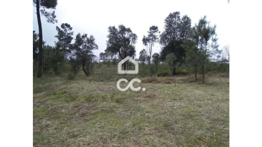 Terreno para Venda em Moreira de Conegos Foto 10