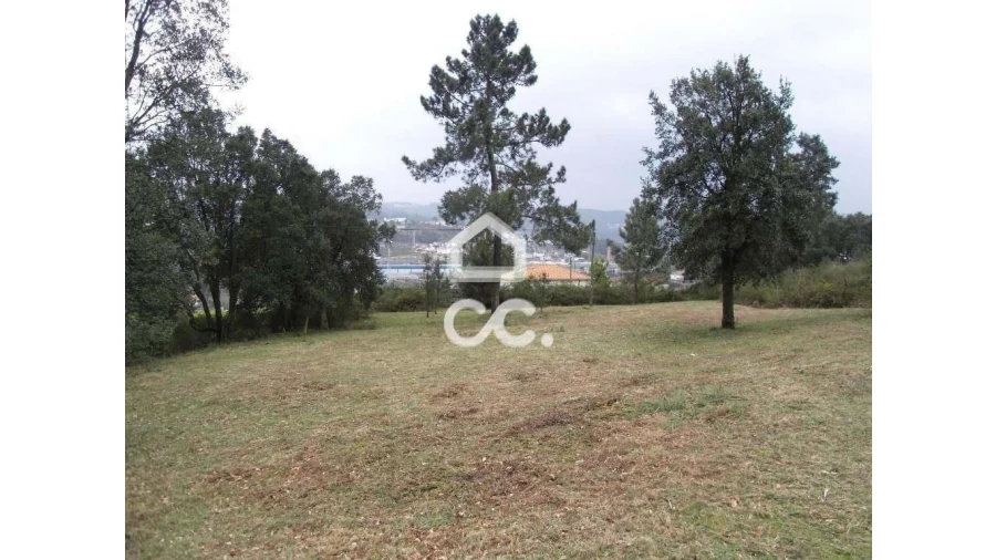 Terreno para Venda em Moreira de Conegos Foto 5