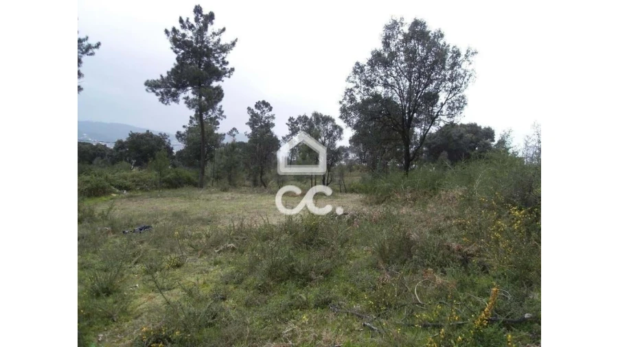 Terreno para Venda em Moreira de Conegos Foto 8