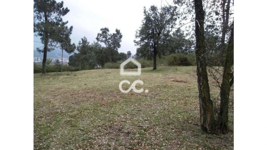 Terreno para Venda em Moreira de Conegos Foto 6