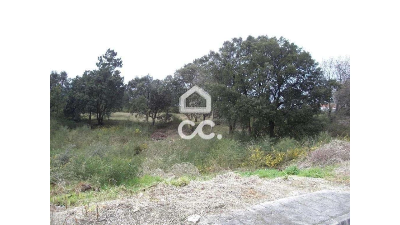 Terreno para Venda em Moreira de Conegos Foto 9