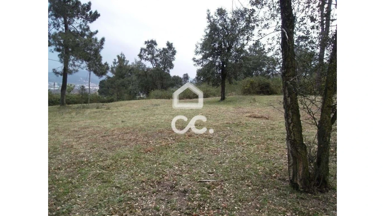Terreno para Venda em Moreira de Conegos Foto 6