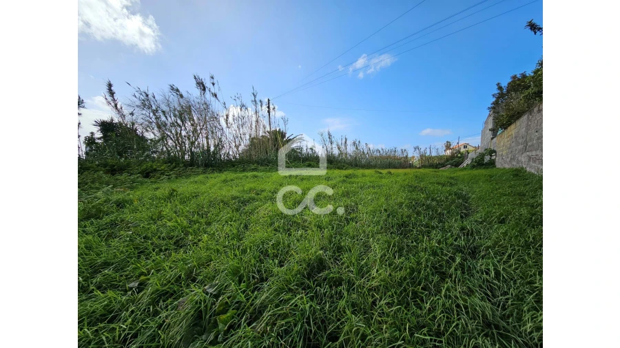 Terreno para Venda em Ginetes Foto 4