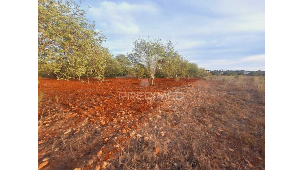 Terreno para Venda em Loule (São Sebastião) Foto 6