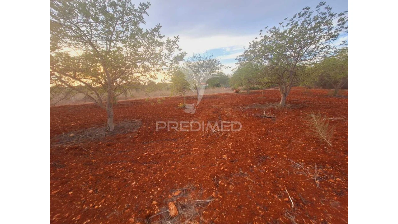 Terreno para Venda em Loule (São Sebastião) Foto 2