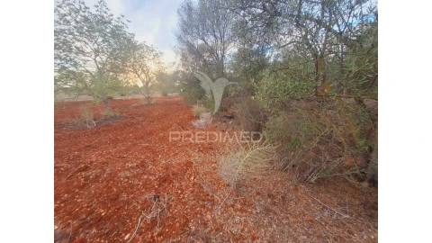 Terreno para Venda em Loule (São Sebastião)