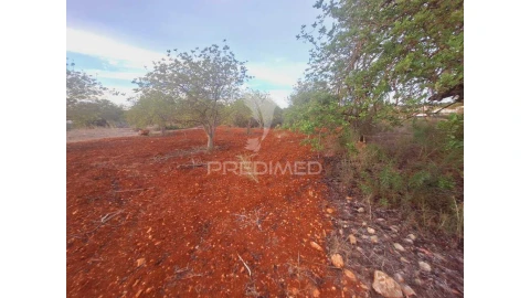 Terreno para Venda em Loule (São Sebastião)