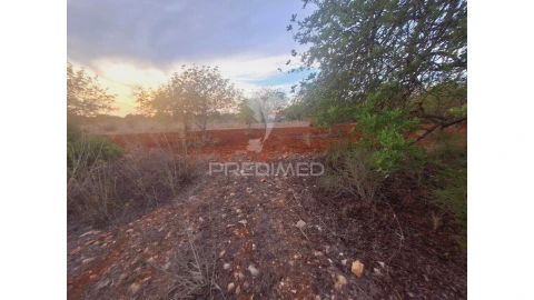 Terreno para Venda em Loule (São Sebastião)