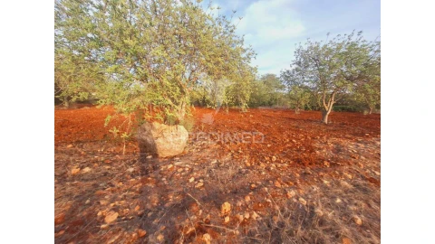 Terreno para Venda em Loule (São Sebastião)