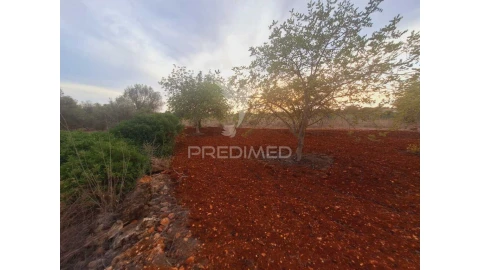 Terreno para Venda em Loule (São Sebastião)