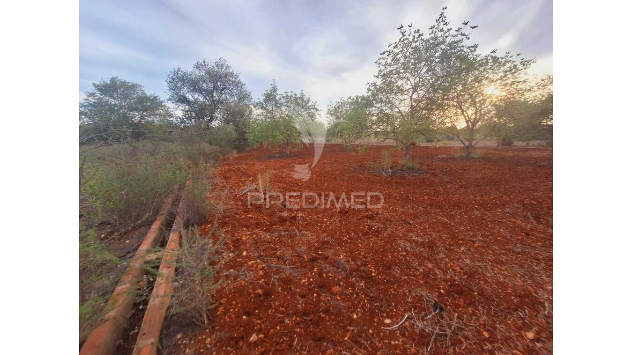 Terreno para Venda em Loule (São Sebastião) Foto 12
