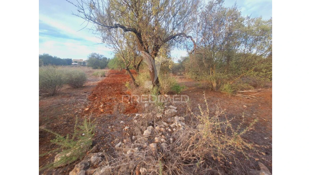 Terreno para Venda em Loule (São Sebastião) Foto 7