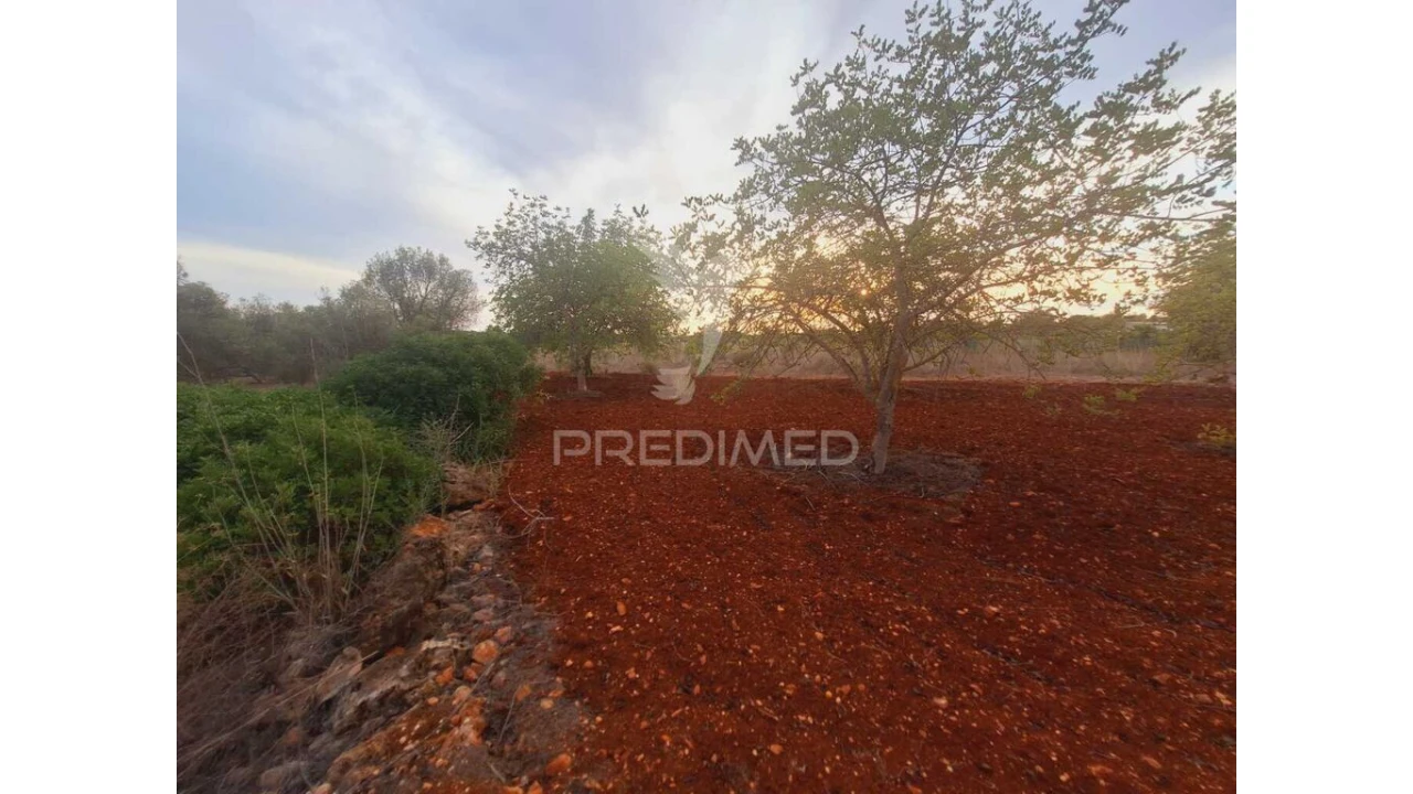 Terreno para Venda em Loule (São Sebastião) Foto 4