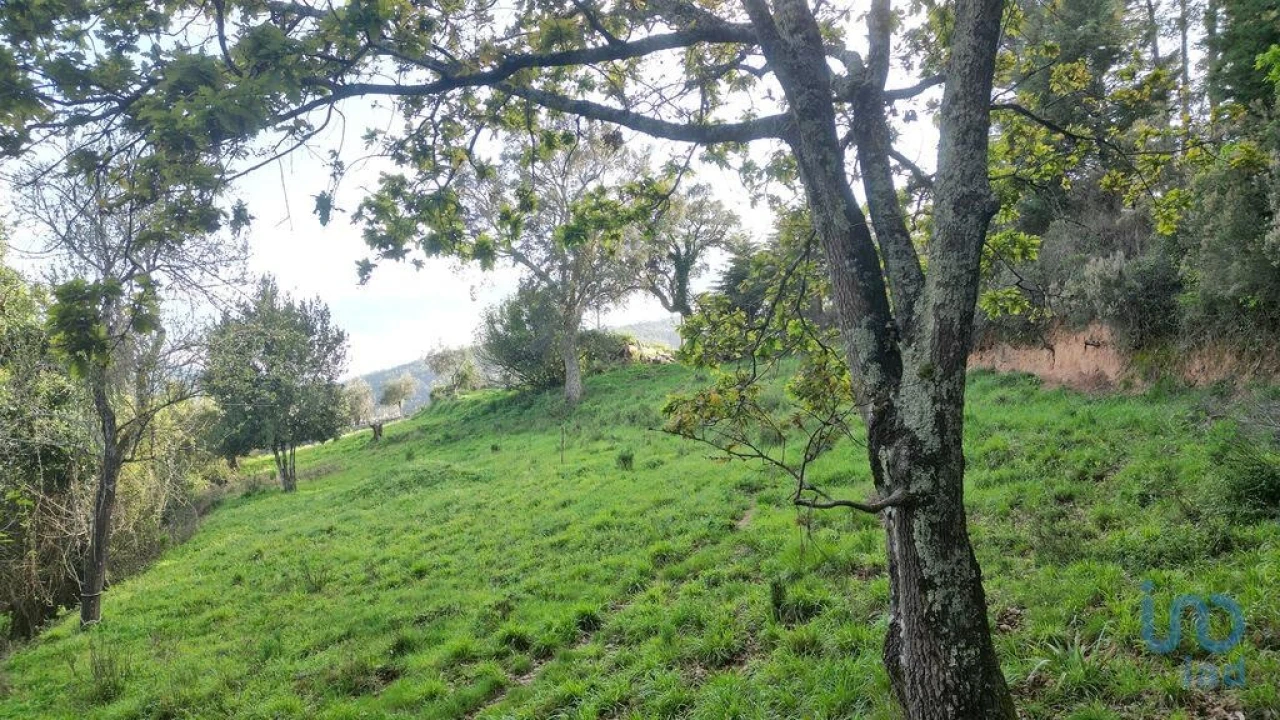 Terreno para Venda em Miranda do Corvo Foto 12