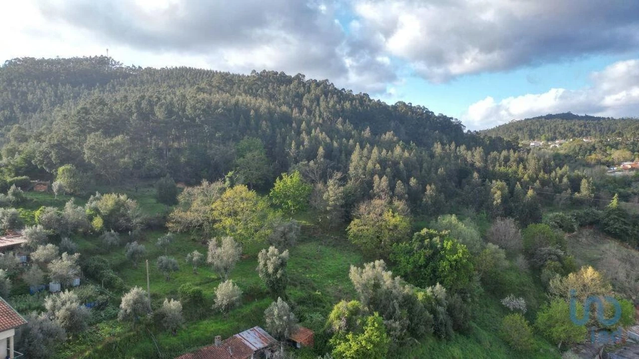 Terreno para Venda em Miranda do Corvo Foto 8