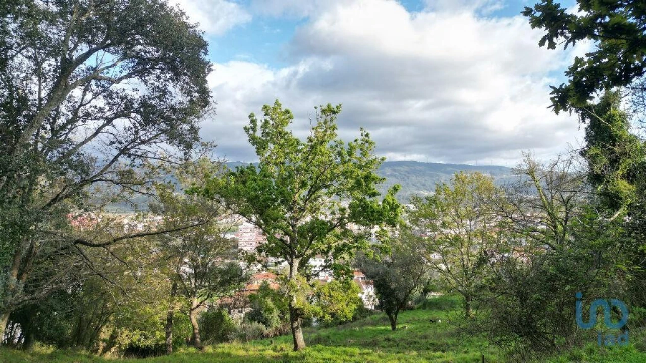 Terreno para Venda em Miranda do Corvo Foto 14