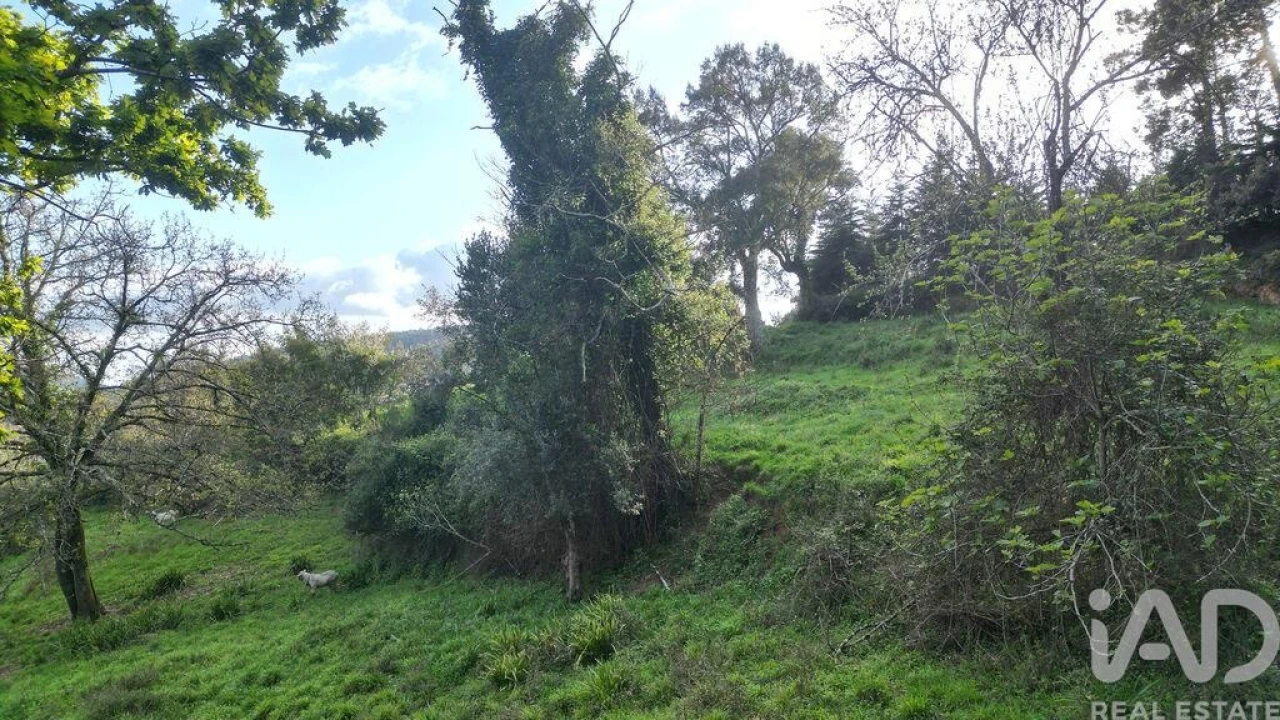 Terreno para Venda em Miranda do Corvo Foto 16