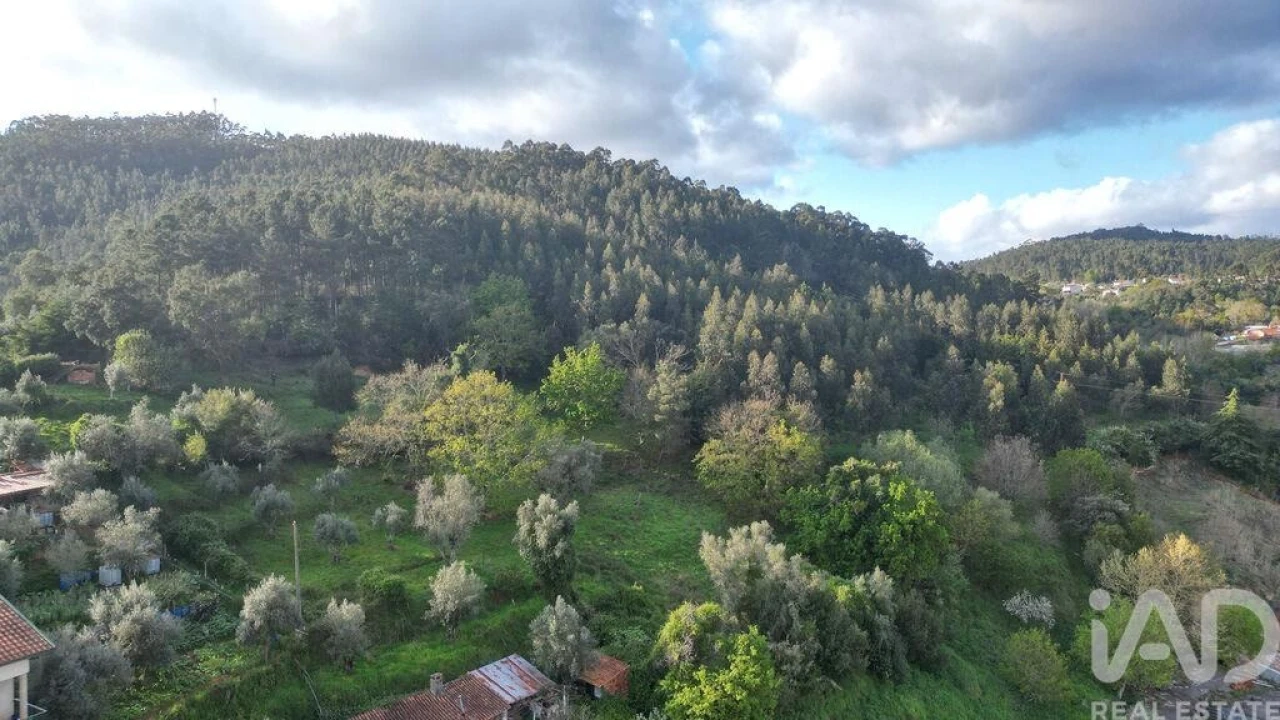 Terreno para Venda em Miranda do Corvo Foto 18
