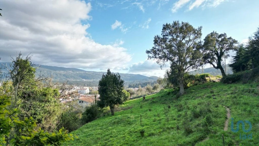 Terreno para Venda em Miranda do Corvo Foto 9