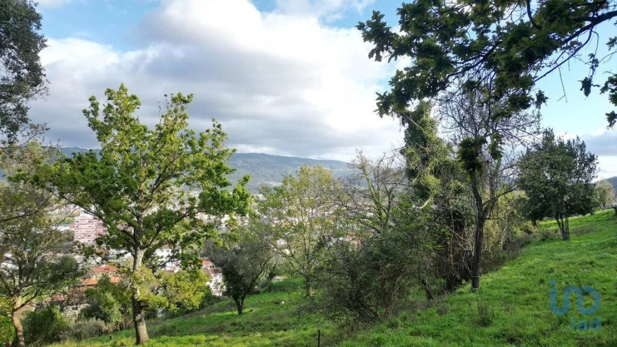 Terreno para Venda em Miranda do Corvo Foto 13