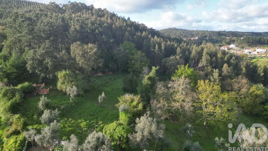 Terreno para Venda em Miranda do Corvo Foto 17