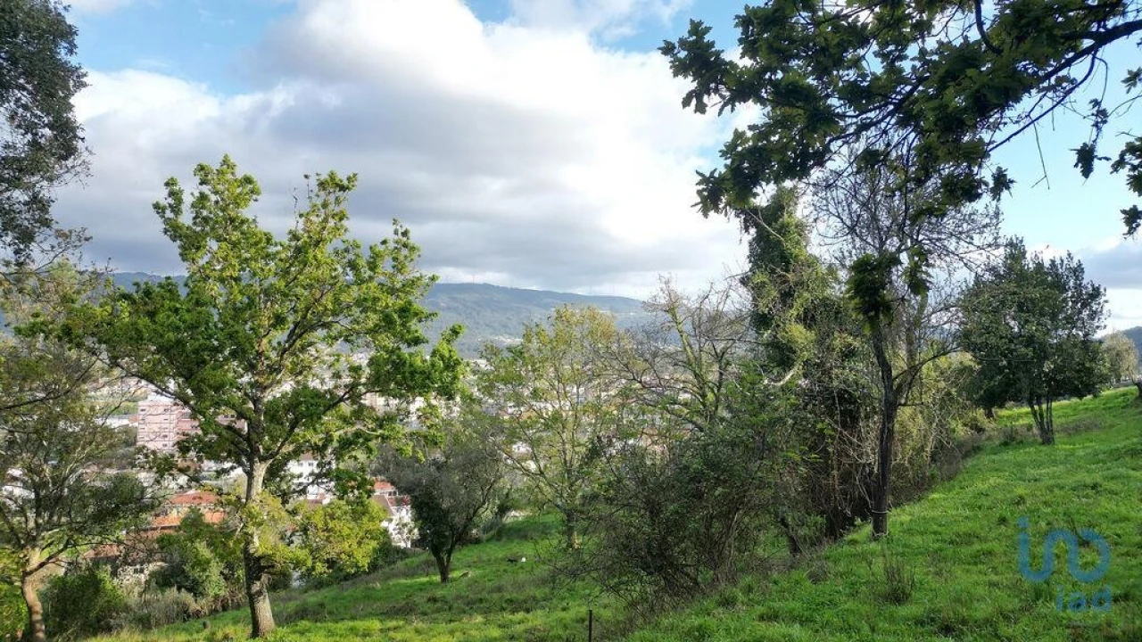 Terreno para Venda em Miranda do Corvo Foto 13