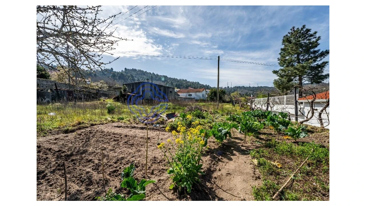 Terreno para Venda em Aricera e Goujoim Foto 2