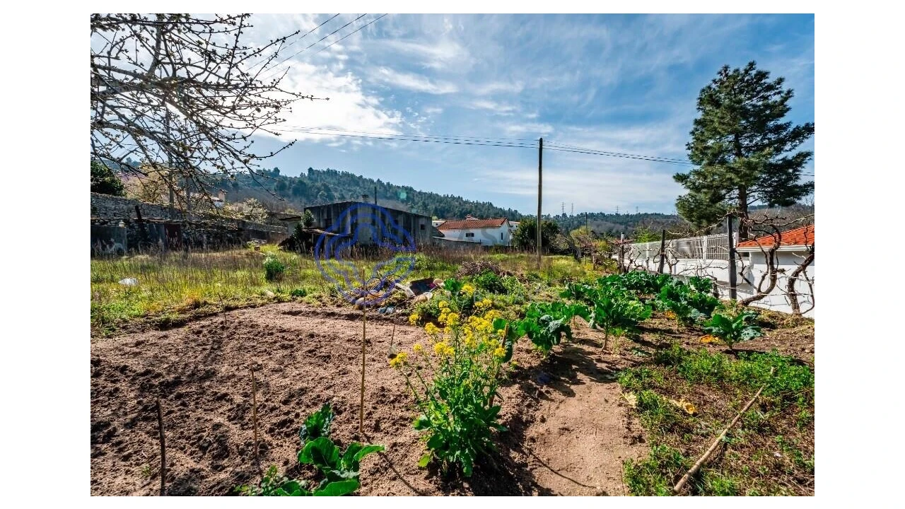 Terreno para Venda em Aricera e Goujoim Foto 8