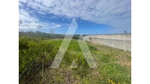 Terreno para Venda em Darque