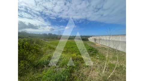 Terreno para Venda em Darque