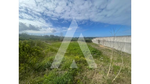 Terreno para Venda em Darque