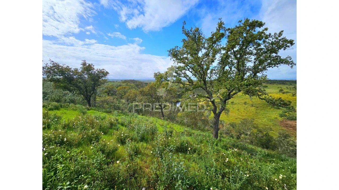 Terreno para Venda em Santa Clara-A-Nova e Gomes Aires Foto 6