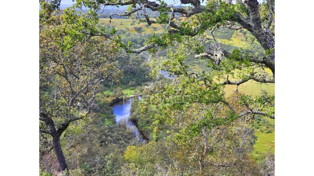 Terreno para Venda em Santa Clara-A-Nova e Gomes Aires Foto 5