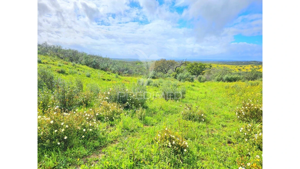 Terreno para Venda em Santa Clara-A-Nova e Gomes Aires Foto 11