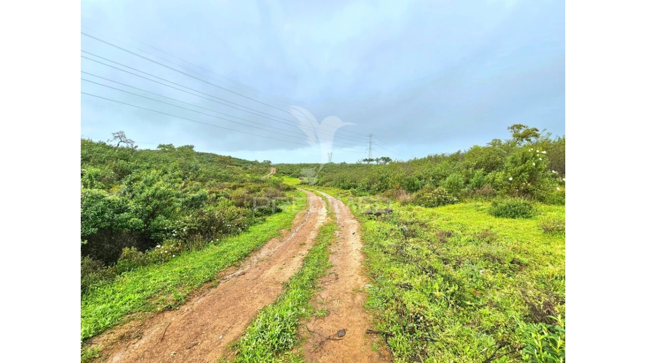 Terreno para Venda em Santa Clara-A-Nova e Gomes Aires Foto 12