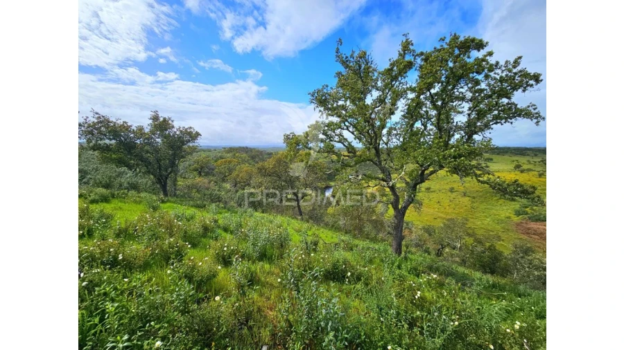 Terreno para Venda em Santa Clara-A-Nova e Gomes Aires Foto 6