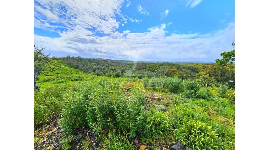 Terreno para Venda em Santa Clara-A-Nova e Gomes Aires Foto 9