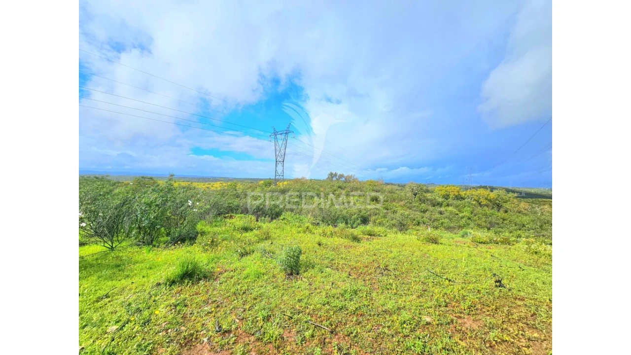 Terreno para Venda em Santa Clara-A-Nova e Gomes Aires Foto 14