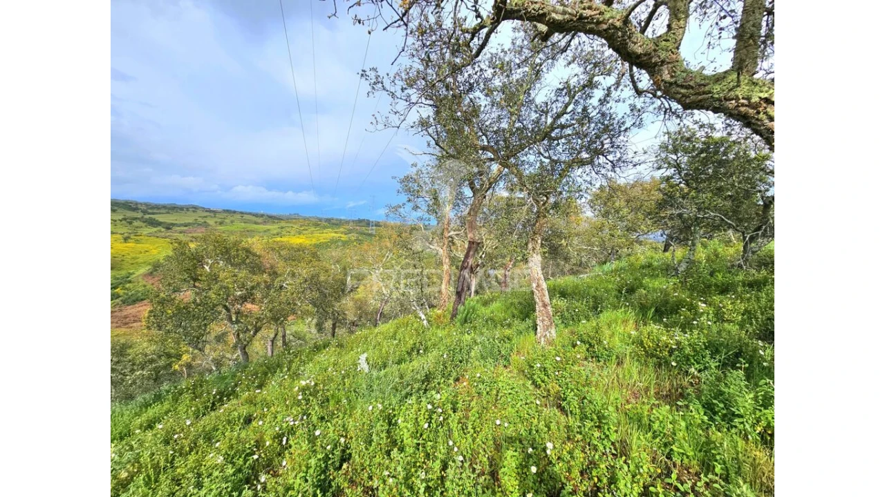 Terreno para Venda em Santa Clara-A-Nova e Gomes Aires Foto 4