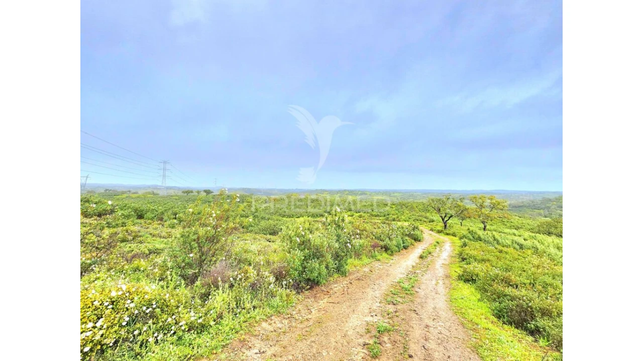 Terreno para Venda em Santa Clara-A-Nova e Gomes Aires Foto 8