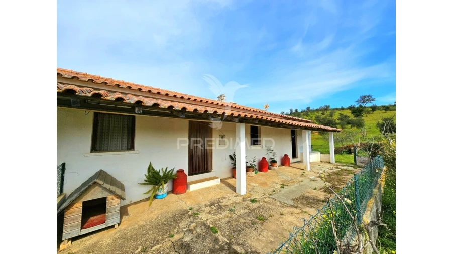 Moradia T2 para Venda em São Martinho das Amoreiras Foto 2