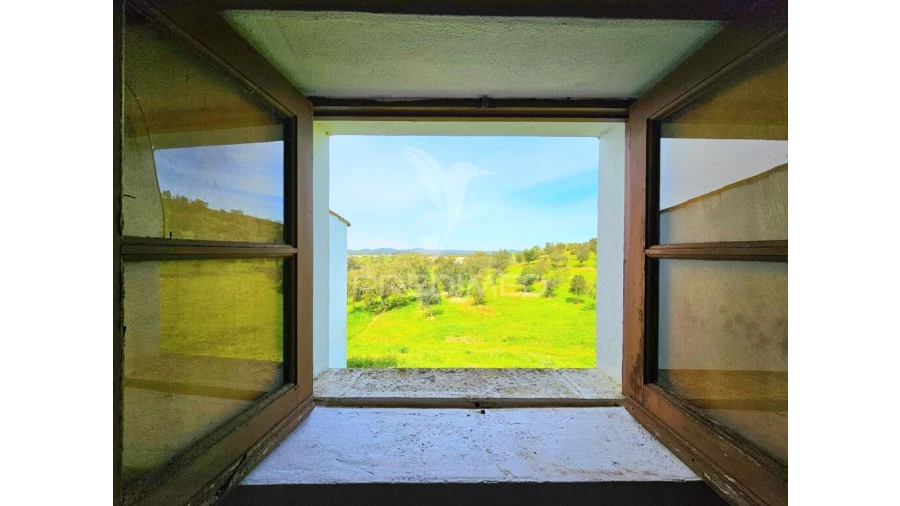 Moradia T2 para Venda em São Martinho das Amoreiras Foto 11