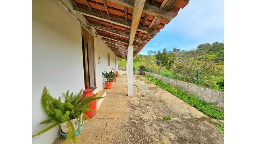 Moradia T2 para Venda em São Martinho das Amoreiras Foto 19