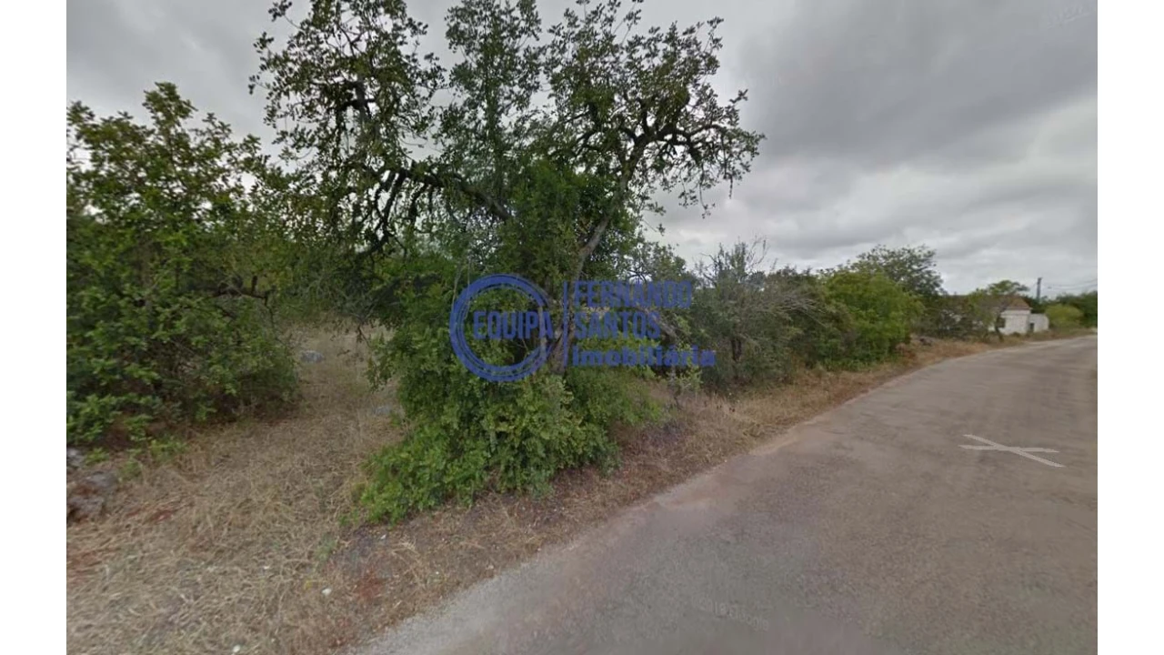 Terreno para Venda em Alte Foto 4