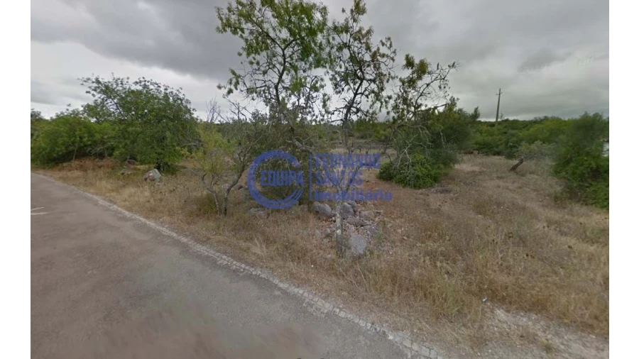 Terreno para Venda em Alte Foto 5